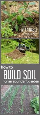 Build Good Garden Soil With Mulch