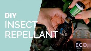 homemade insect repellent eco modern