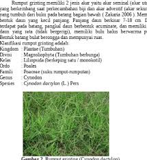 Potensi alelopati ekstrak serasah daun mangga (mangifera indica (l.)) terhadap pertumbuhan gulma rumput grinting (cynodon dactylon (l.)) press. 433344125 Doc 149 52kb 2015 10 12 00 17 50