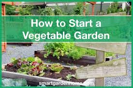 How To Start A Vegetable Garden For