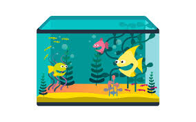 aquarium calculator for fish tank volume