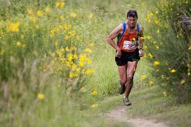 tips for cross country training and