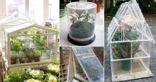 19 Easy Diy Mini Greenhouse Ideas