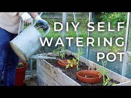 Diy Self Watering Pot For The Garden