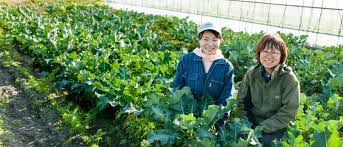 新規就農者として、先人たちの土地を大切に、未来につながる農業を創造していく。｜東日本大震災から10年