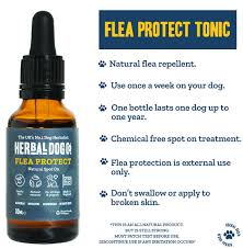 natural flea tick spot on for dogs
