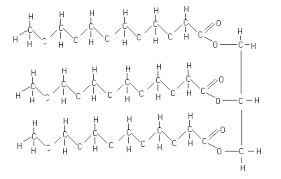 the chemistry of fats part 1 raw