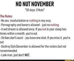 NO NUT NOVEMBER 30 days. 0 Nuts The Rules - No sex. masturbation or  nutting in any