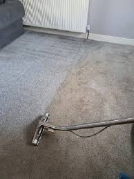 professional carpet cleaner carpet