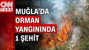Kısa sürede büyüyen yangında, 2 kişi hayatını kaybederken, 23 kişi yaralandı. Marmaris Te Orman Yangini Bir Kahraman Personel Sehit Oldu Youtube