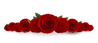 red roses images browse 32 640 stock