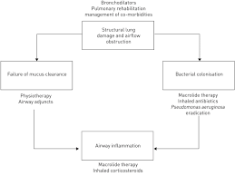 Management Of Bronchiectasis In Adults European