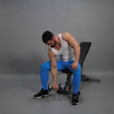 dumbbell one arm sitting biceps curl
