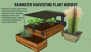 Rainwater Harvesting Plant Nursery