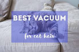 best vacuum cleaner for cat hair our