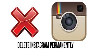 Image result for How to Remove my IG.com account