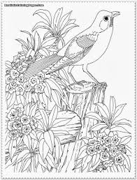 Check spelling or type a new query. Bird Coloring Pages Realistic Girls
