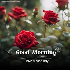 good morning flower hd images wishes