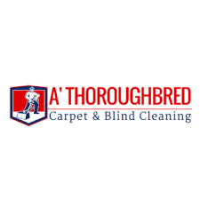 a thoroughbred carpet cleaning