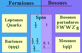 Fermions and Bosons Chart