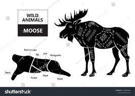 52 Most Popular Cuts Of Moose Chart