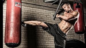 the best mma and kickboxing cles in