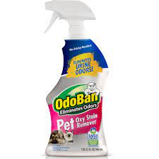 pet oxy stain remover floor care odoban