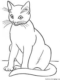 3300 x 2550 file type: Cat Coloring Pages From Ellie Free Printables