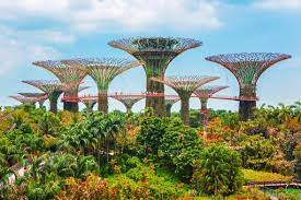 gardens by the bay in singapore