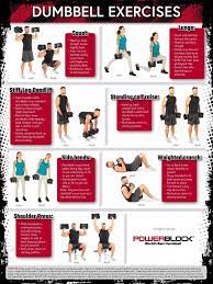 home gym dumbbell exercise poster 3