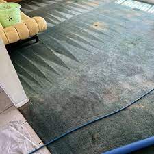 master s carpet cleaning 23 photos