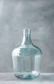 Terrain Bottleneck Clear Glass Vase