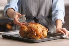where-do-you-check-a-turkey-breast-temperature