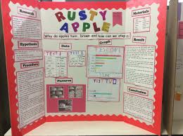 Science Fair Projects Ps99