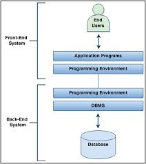 the database system environment