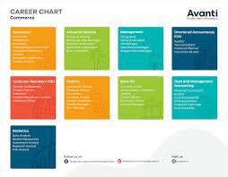 Career Chart Commerce 28 May 2019 Avanti Learning Centres