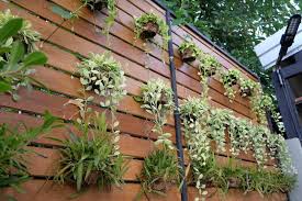The Perfect Hanging Wall Garden Plants