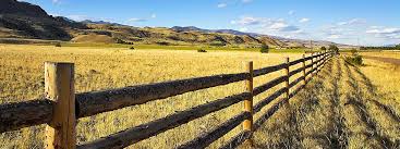 Pasture, rangeland, and forages cover approximately 55 percent of all u.s. Rangeland Ecology And Management Utah State University