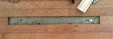 termite damaged hardwood floor