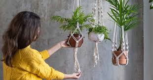 25 Of The Best Hanging Planters