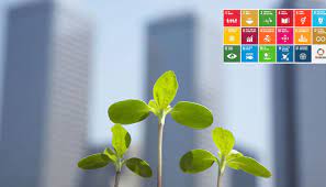 what is sustainable development and