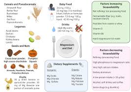 magnesium biochemistry nutrition