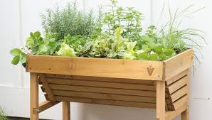 How To Grow Herbs Get Fresh Aromatic