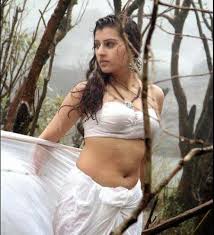 south indian actress hot navel pics