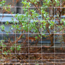 4.4 (5) see price at checkout. Expert Gardener Galvanized Steel Rabbit Guard Wire Fence 24 X 50 Walmart Com Walmart Com
