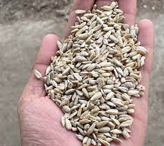 hulled sunflower seed at rs 120 kg