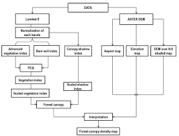 Methodology Flow Chart Of The Study Area 6 Forest Canopy