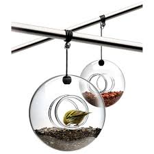 Round Glass Bird Feeder Available From