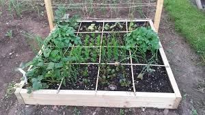 benefits of square foot gardening no