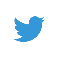 Twitter, logo Icon in Flat Icons - free